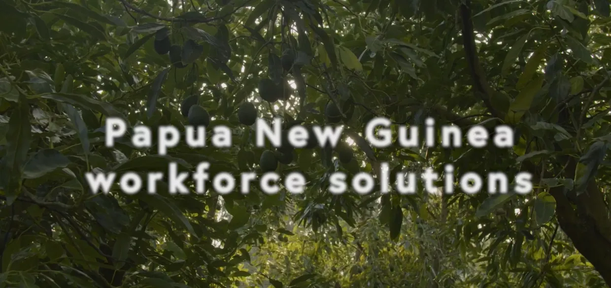 Papua New Guinea workforce solutions video thumbnail