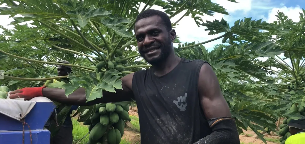 PNG worker
