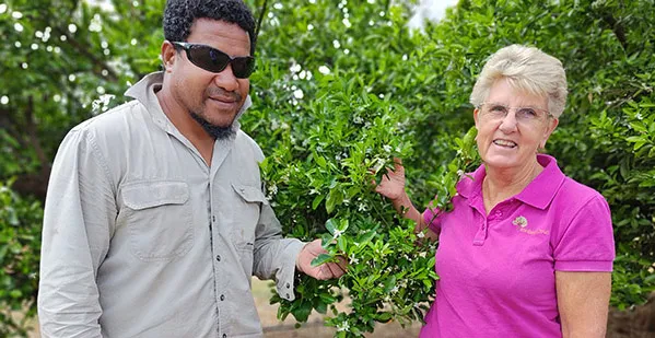 Workers return each season to Ironbark Citrus Ironbank